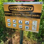 Harmful Algal Blooms impacting recreation season for NJ Lakes